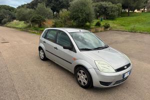 Ford Fiesta 5 porte neopatentati