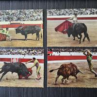 10 CARTOLINE TAUROMACHIA VINTAGE