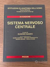 Sistema nervoso centrale Gaudio