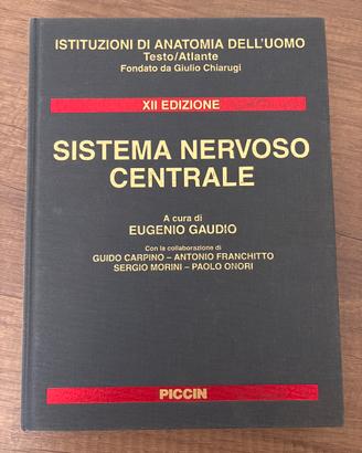 Sistema nervoso centrale Gaudio