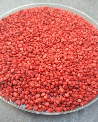 GRANULATO CERAMICO PER ACQUARIO - TERRARIO