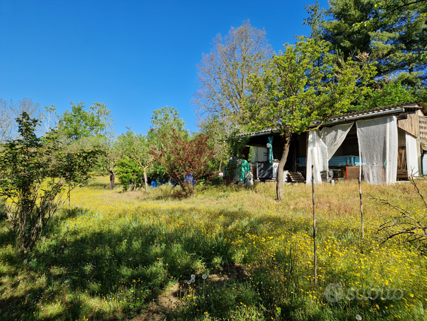 Terreno agricolo