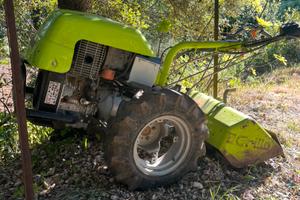 Motocoltivatore Grillo 15cv