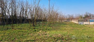 Terreno agricolo recintato con acqua