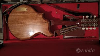 Mandolino EKO e processori del suono