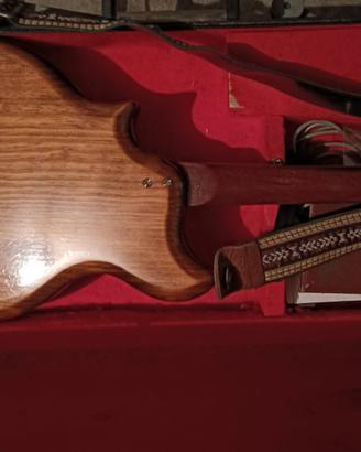 Mandolino EKO e processori del suono