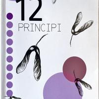 12 principi