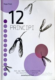 12 principi
