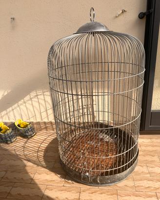 Gabbia per papagallo