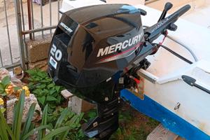 Barca a motore