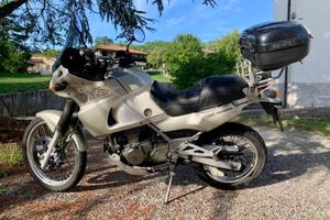 Kawasaki KLE 500