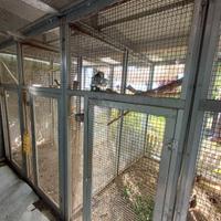 Gabbie modulabili per pappagalli