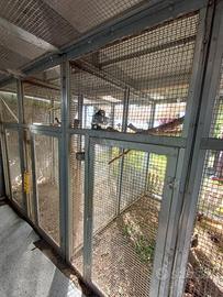 Gabbie modulabili per pappagalli