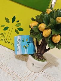 Gli alberelli / limone / albero di limone / cerami