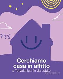 Appartamento a Torvaianica o Pomezia