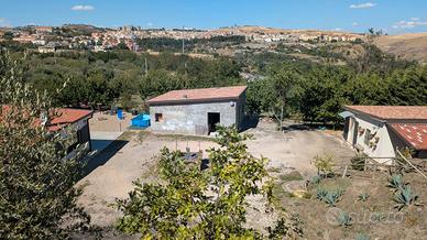 Proprietà con 3 immobili e terreno