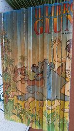 Letture ragazzi Libro della jungla 36 volumi