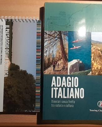 2 Guide per itinerari di viaggio
