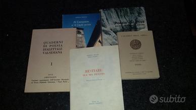 Libri poesie valsesia