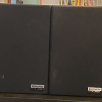 Diffusori Bose Interaudio XL 1000