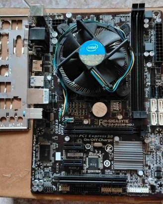 Scheda madre Gigabyte GA-B85M-HD3 + cpu i3-4170