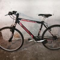 BICI MTB CARNIELLI cambio shimano