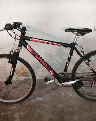 BICI MTB CARNIELLI cambio shimano