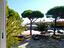 Immagine 10