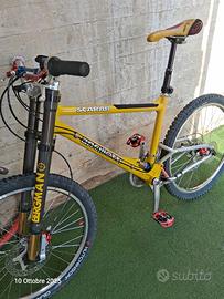 MTB Ancillotti Scarab