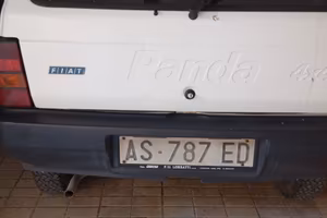 FIAT panda 4x4 