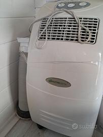 Climatizzatore eletrozeta