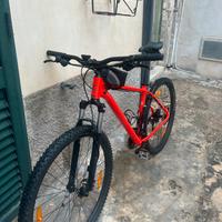 Bici MTB