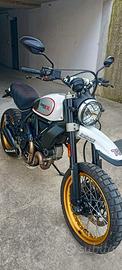 Ducati scrambler desert sled.