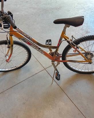 BICICLETTA 