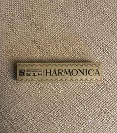 Armonica a bocca 20 fori