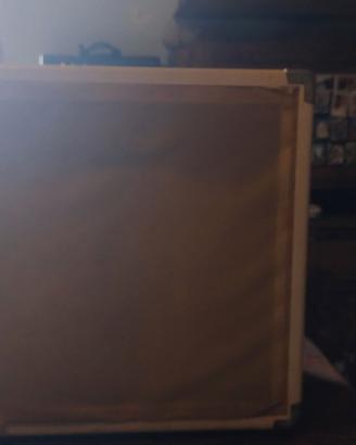 Davoli Virus 30 - Amplificatore Vintage 30W - Cass