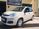 fiat-panda-1-2-easy-2016