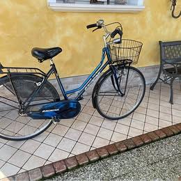 bicicletta per signora da 26