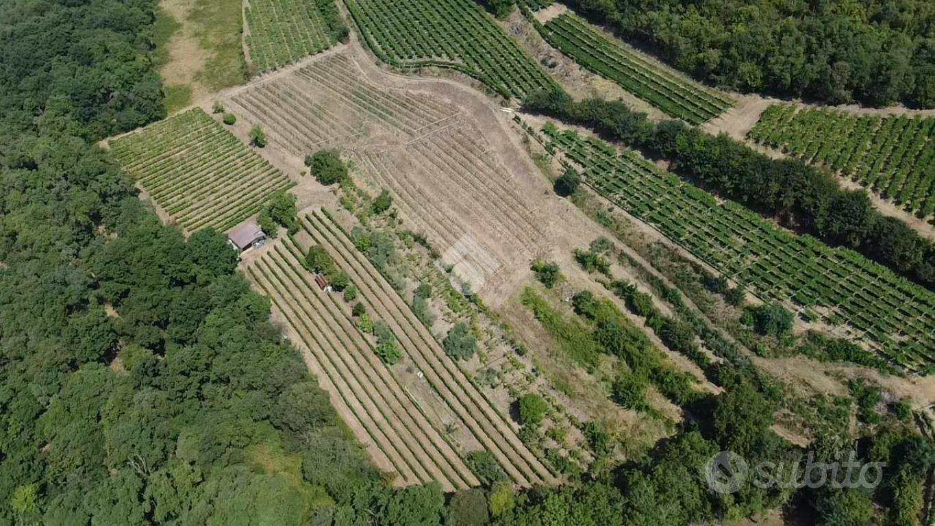 TERRENO A SAN MARTINO BUON ALBERGO - Vista 4