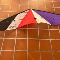 Aquiloni professionali