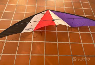 Aquiloni professionali