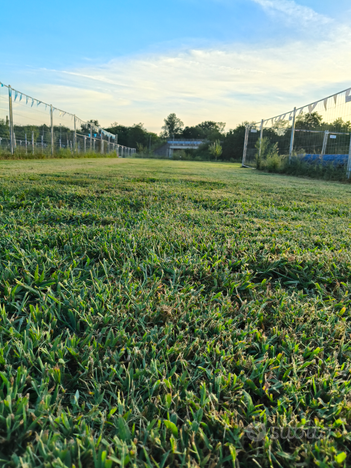 Campo cinofilo per educatori