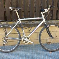 MTB Longus 2000pro