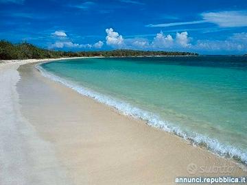 Bilocale victor village