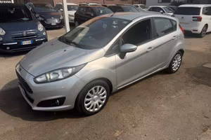 Ford Fiesta 1.5 TDCi 75CV 5 porte Business