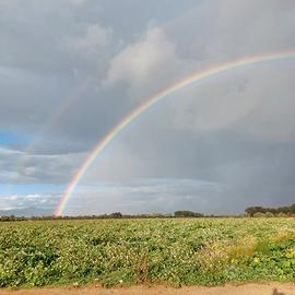 Terreno agricolo a Villasor