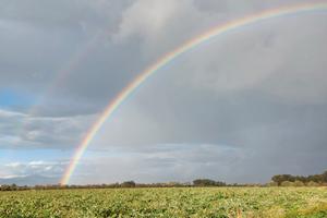 Terreno agricolo a Villasor