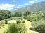 Immagine 17