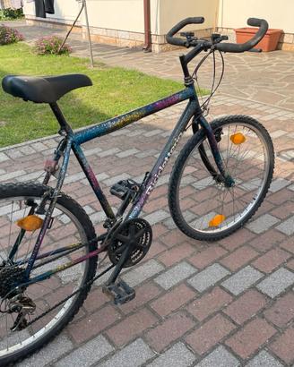 Mountain bike
