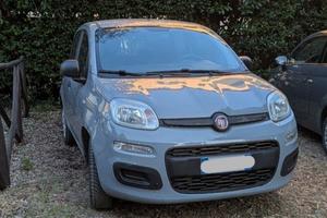 Fiat Panda  1.2 69cv BENZ/GPL